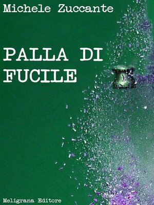 cover image of Palla di fucile